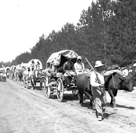Wagon train