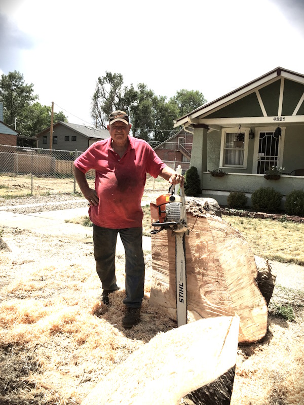 Ken Fischer with chainsaw, standing by a large tree stump