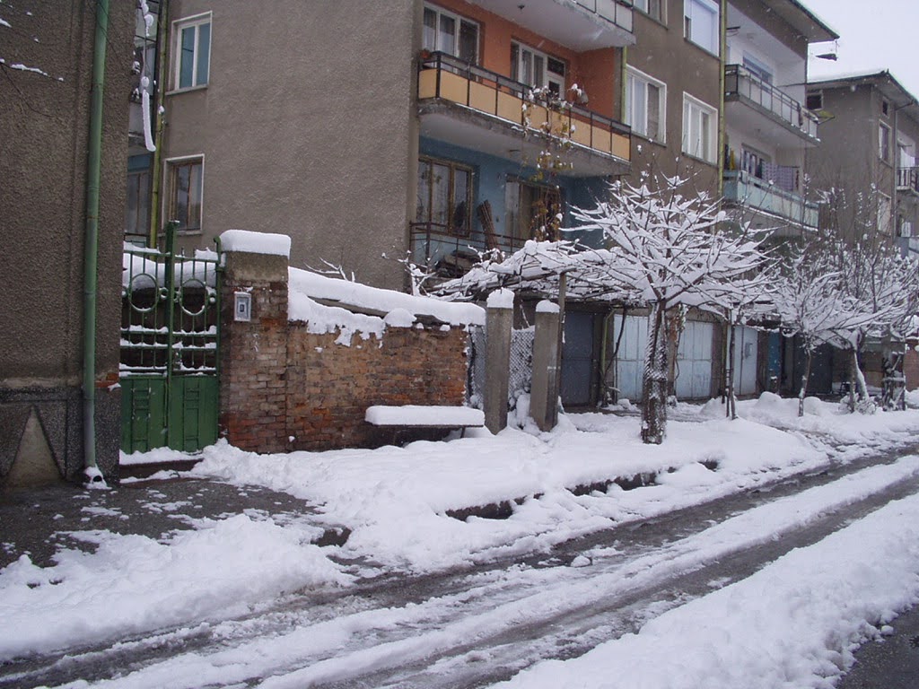 Street scene, wet and messy snow in front of a drab row of apartment buildings (Pazardjik, Bulgaria).